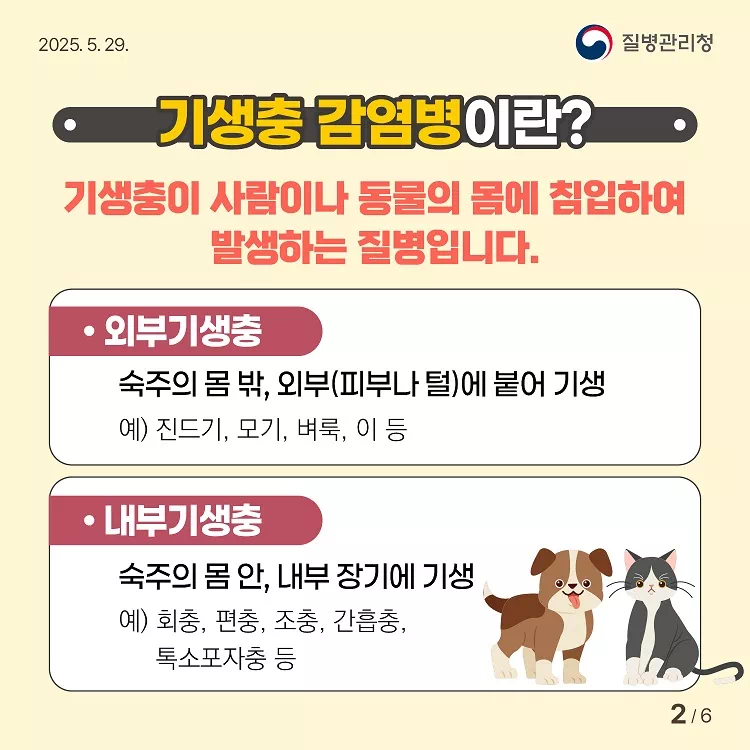 기생충감염병-카드뉴스2