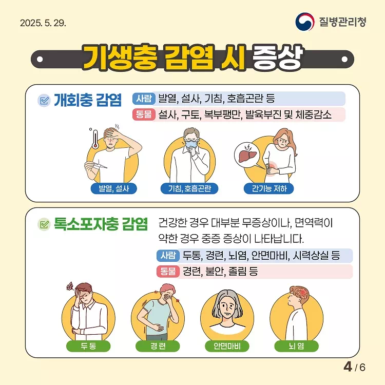 기생충 감염시 증상 소개