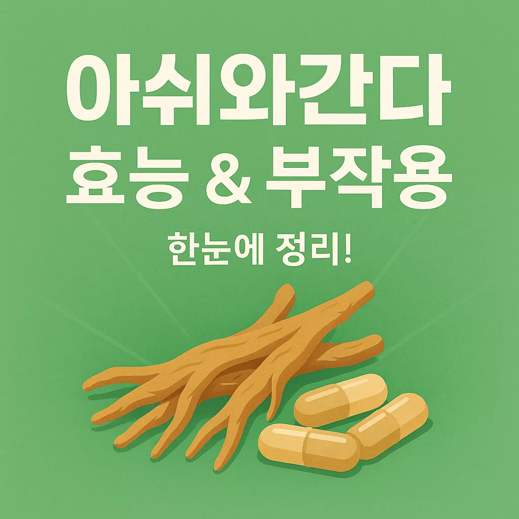 아슈아 간다 효능 부작용 알아보기 썸네일