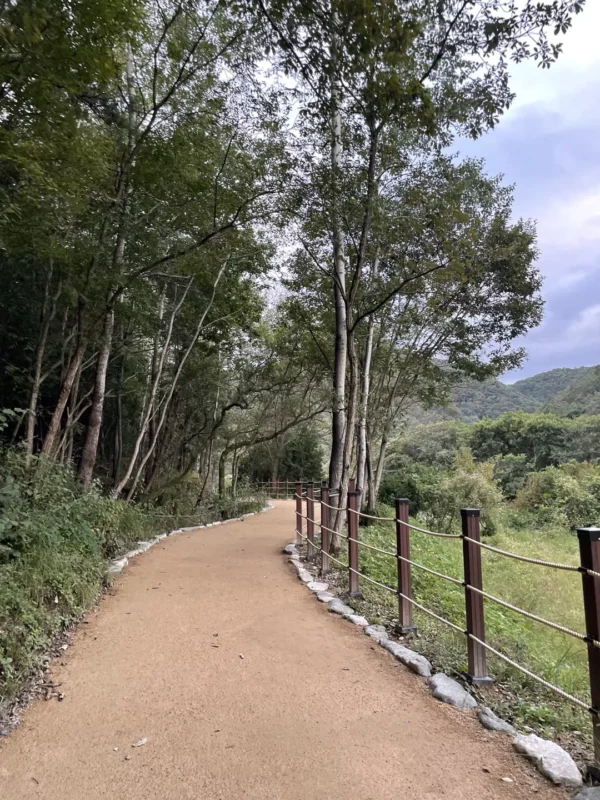 반구대 암각화 전망대 가는길 반구대 암각화 전망대 가는길