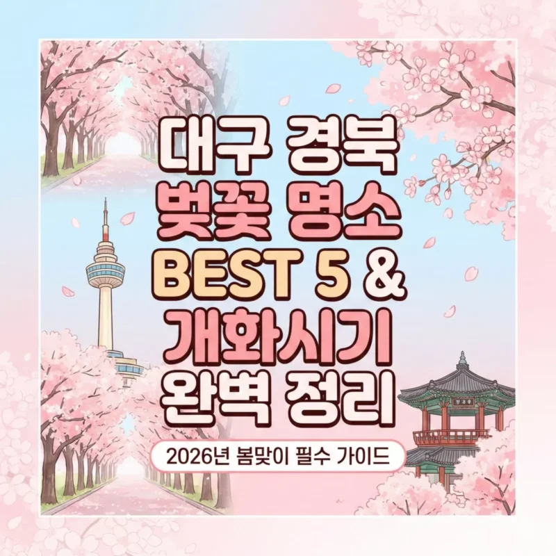 대구 경북 벚꽃 명소 BEST 5 & 개화시기 완벽 정리 블로그 썸네일