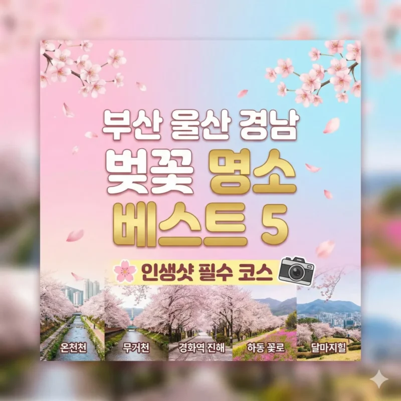 부산 울산 경남 벚꽃 명소 베스트 5 인생샷 필수 코스